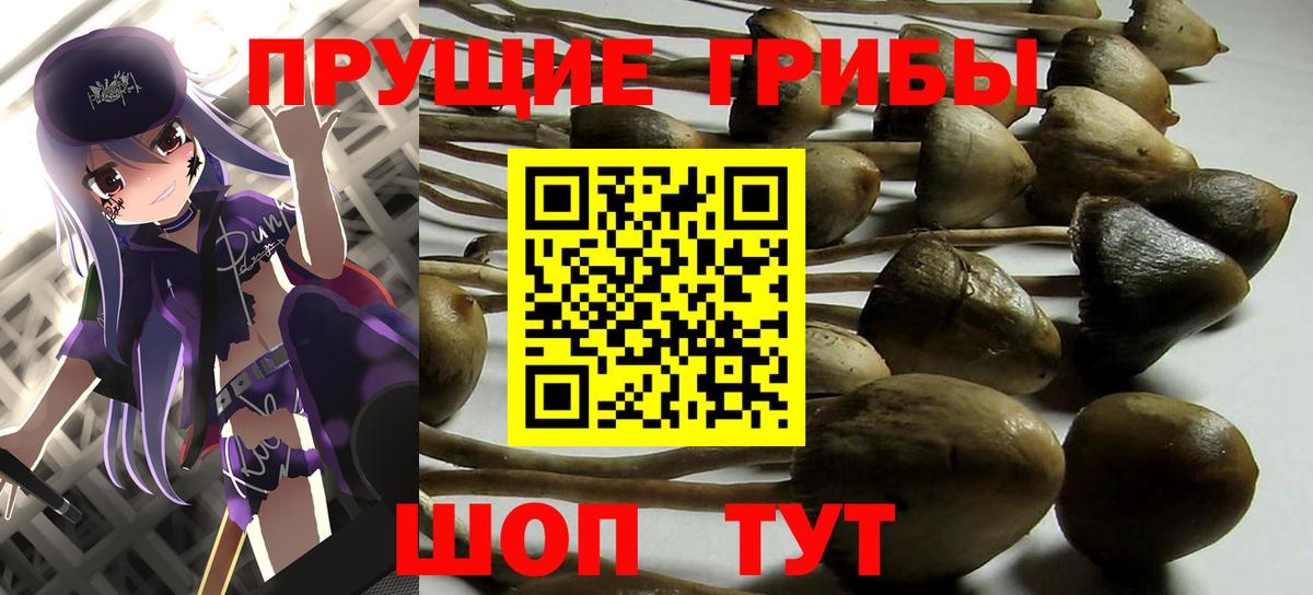 Галлюциногенные грибы мухоморы Советская Гавань